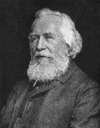 <p>termed the word ecology, phylogenetic trees, father of ecology</p>