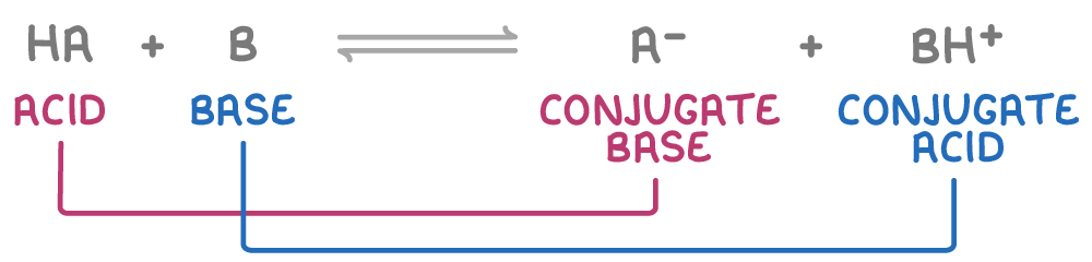 <ul><li><p>consists of 2 species that are interconverted by transfer of H<sup>+</sup> </p></li><li><p>in forward reaction, acid donates proton, but in reverse reaction conjugate base accepts proton</p></li><li><p>in forward reaction, base accepts proton, but in reverse reaction conjugate acid donates proton</p></li></ul><p></p>