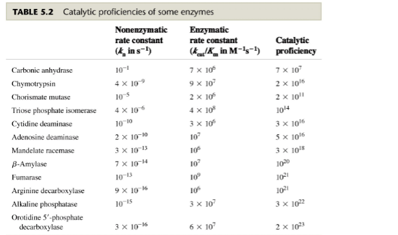 <ul><li><p><span style="font-family: sans-serif">kcat /Km compares diff enzyme activities</span></p></li><li><p><span style="font-family: sans-serif">ratio approaches 10^8-10^9 which is limit because of diffusion at physiological conds</span></p></li><li><p><span style="font-family: sans-serif">catalytic proficiency expresses increased rxn rate in presence of enzyme</span></p></li><li><p><span style="font-family: sans-serif">high catalytic efficiency ([S]&gt;&gt;[E] assumption for M-M kinetics generally true)</span></p></li></ul>
