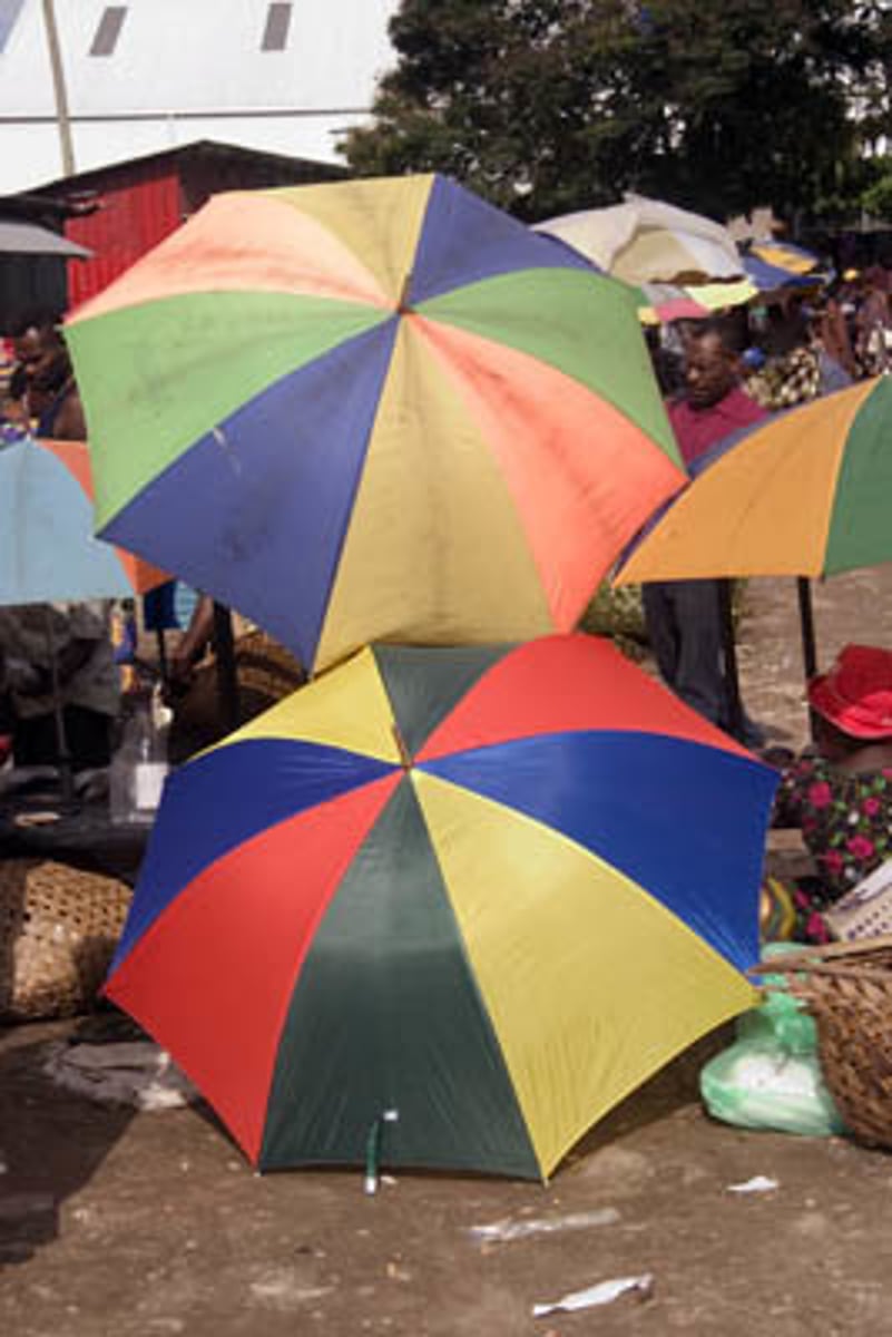 <p>umbrella</p>