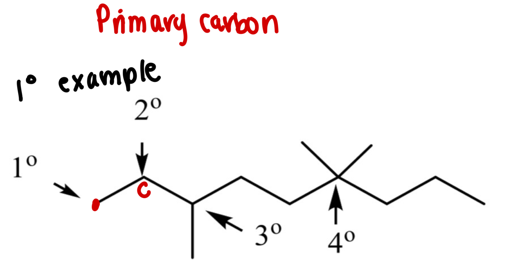 <p>A carbon connected to <strong>1 other carbon</strong></p>