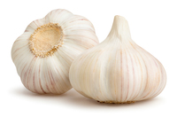 <p><span>a </span>plant<span> of the </span>onion<span> </span>family<span> that has a </span>strong<span> </span>taste<span> and </span>smell<span> and is used in </span>cooking<span> to </span>add<span> </span>flavour</p>