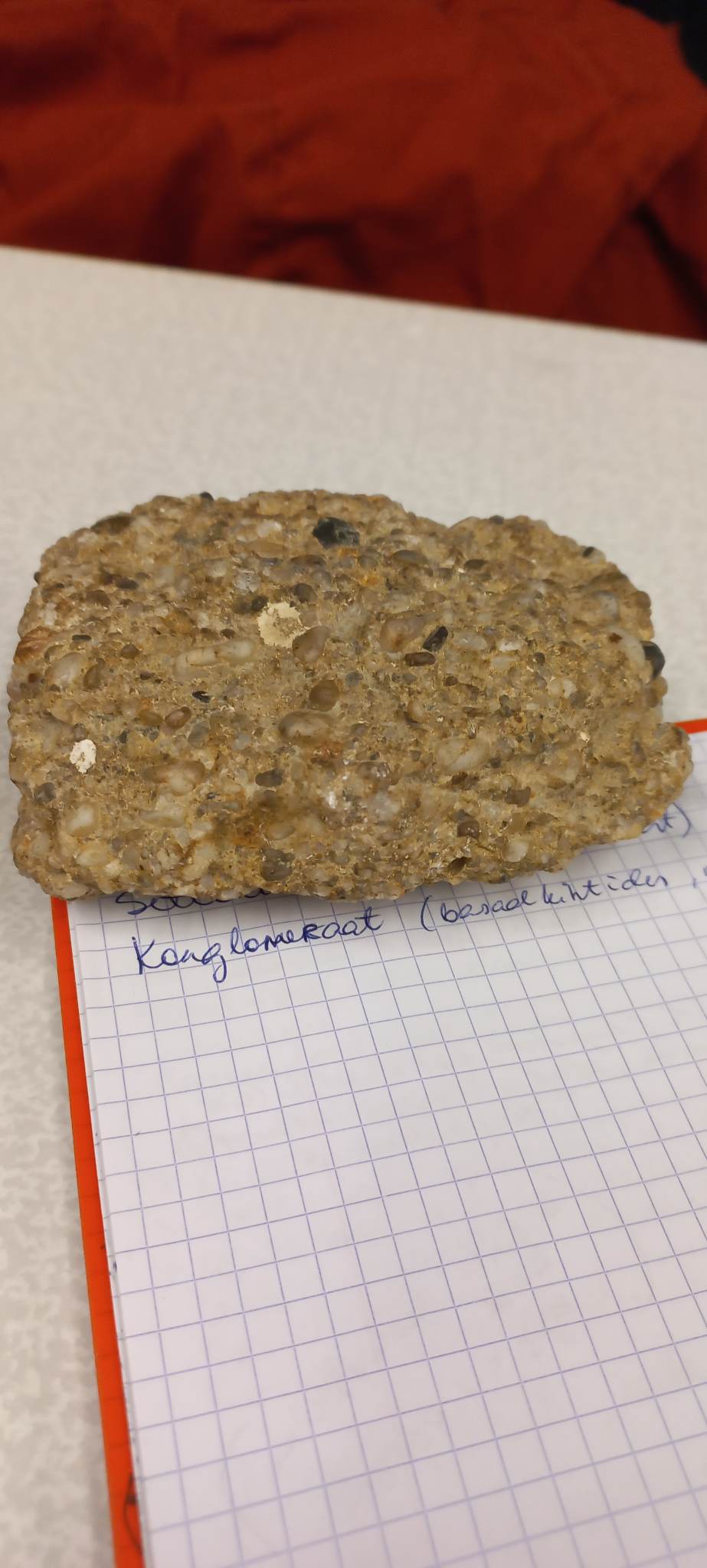 knowt flashcard image