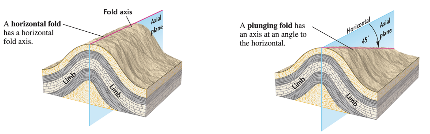 <p><strong>plunging fold </strong>= fold with tilted fold axis</p><p><strong>horizontal fold </strong>= fold with horizontal fold axis</p>