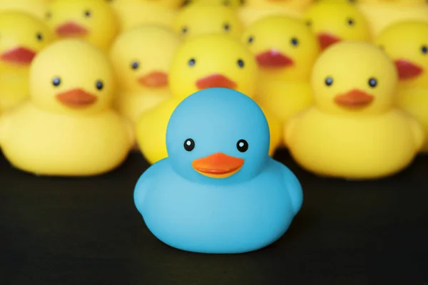 <p>Separate and distinct; <strong>individually separate and different from others</strong>.</p>