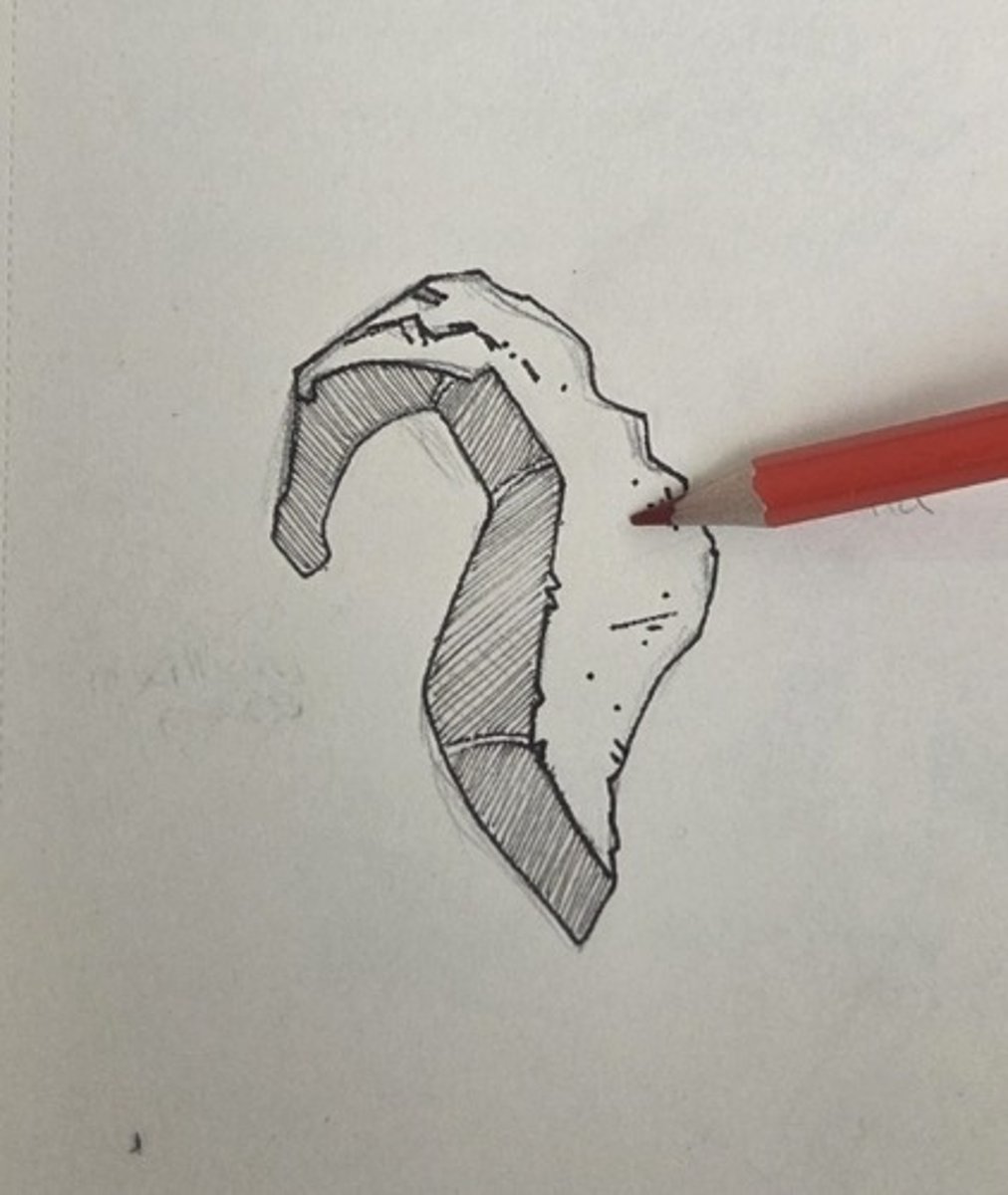 <p>a thin, vertical, undulating sheet of bone extending medially and inferiorly from the maxillary process</p>
