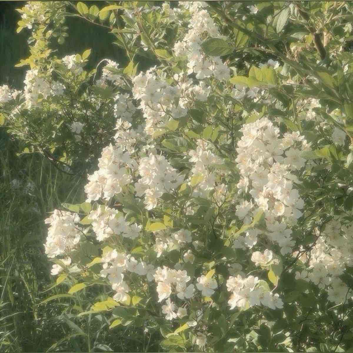 <p>Pretty</p>