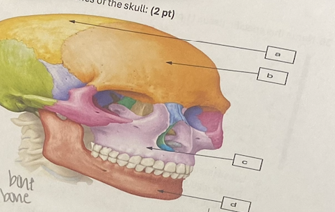 <p>what is B</p>
