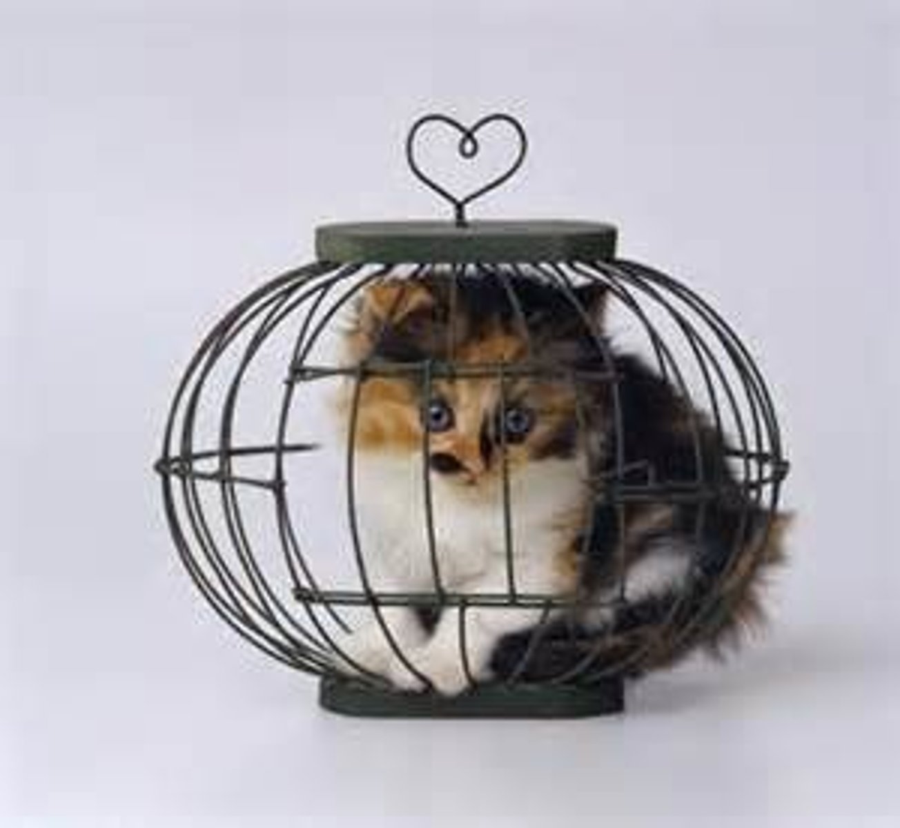 <p>locked in</p>