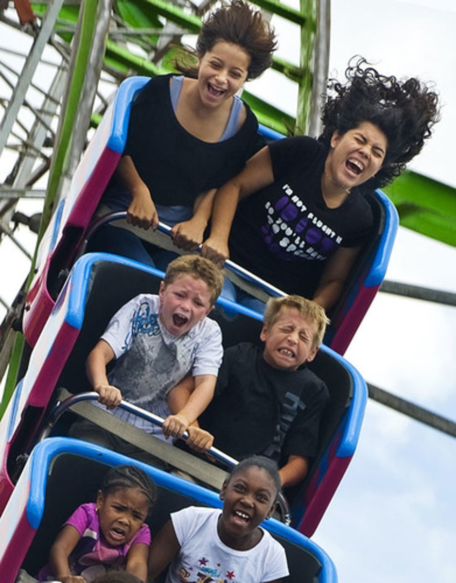 <p>to go on a ride (amusement park)</p>