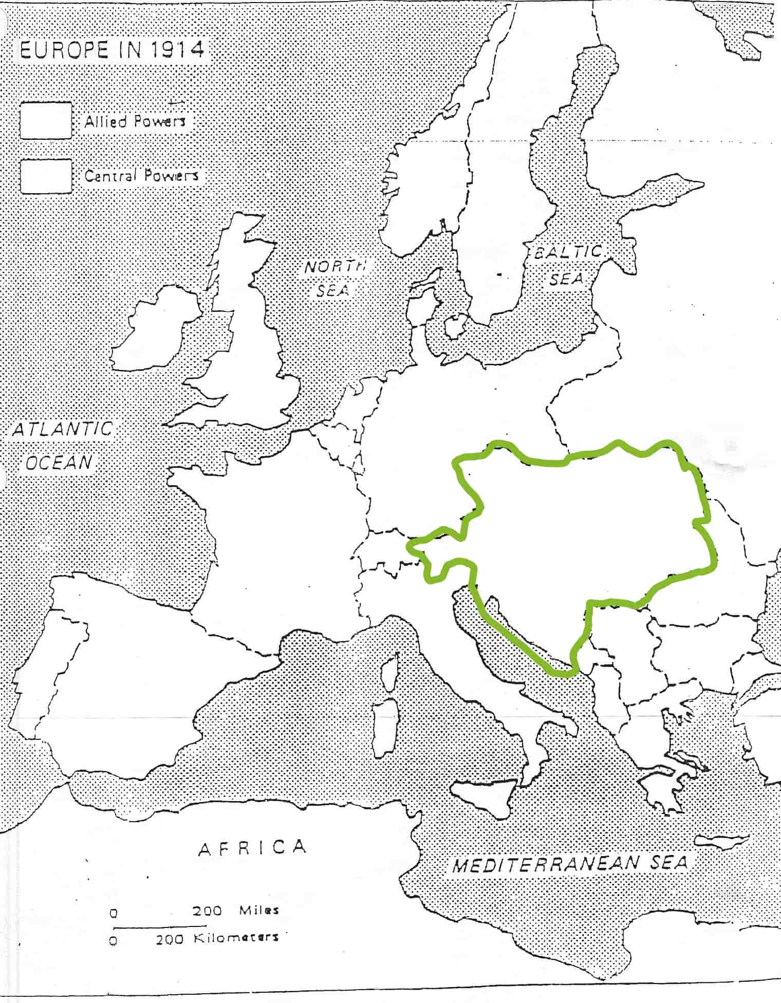 term image