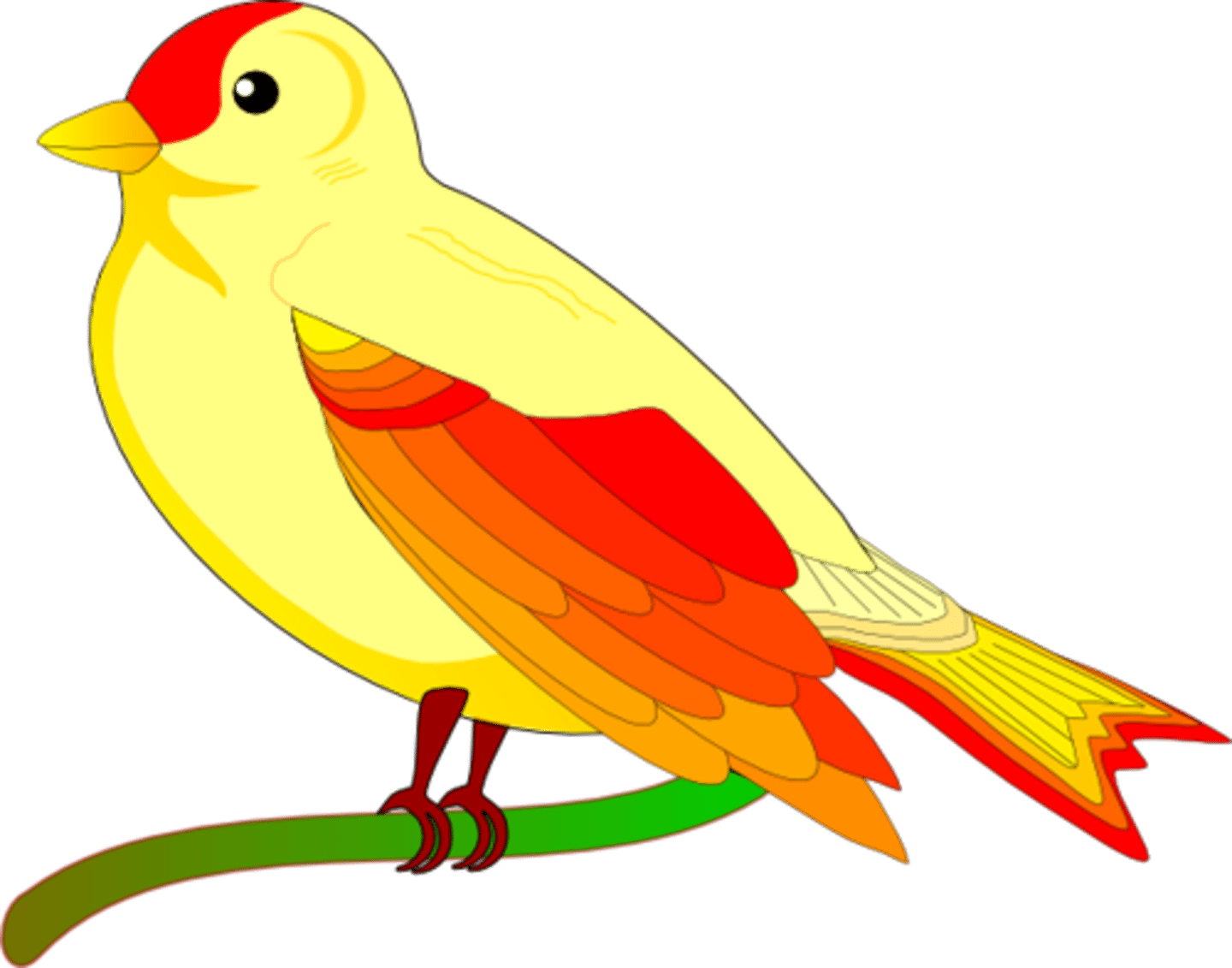 <p>bird</p>