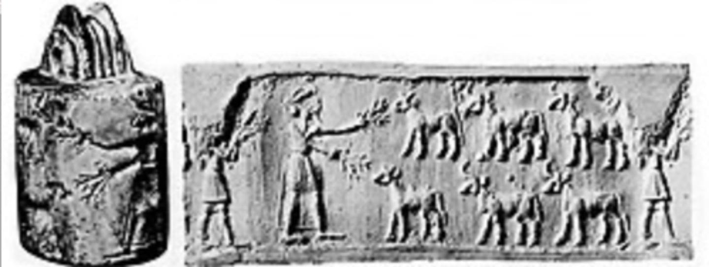 knowt flashcard image