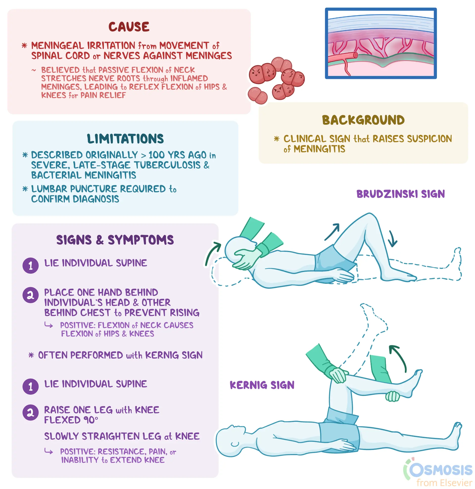 <p>Pain in the neck and back</p>