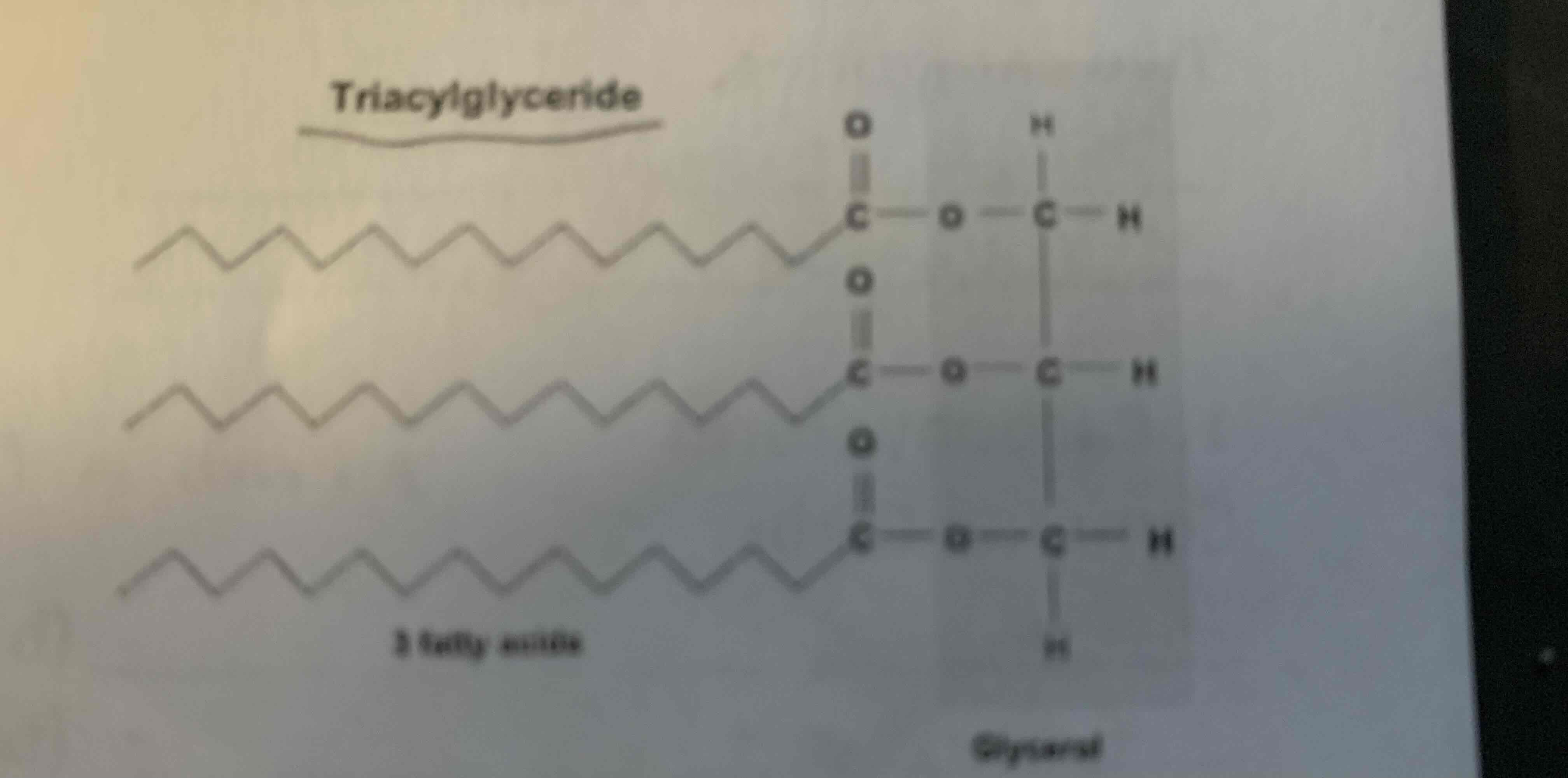 <p>Composed of 2 structural units combined by dehydration synthesis:<br><mark data-color="yellow">1 Glycerol +3 Fatty Acids = Triglycerides</mark><br></p>