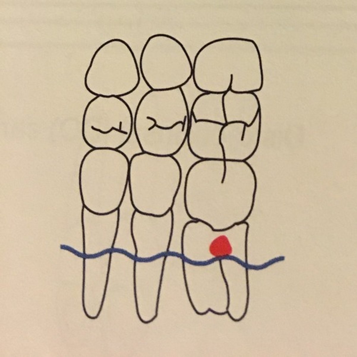 knowt flashcard image