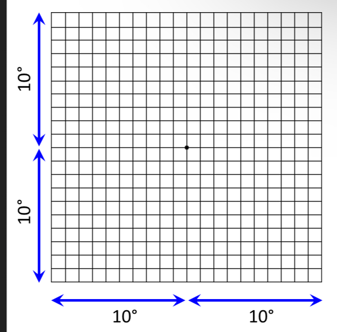 <p>Grid of lines</p><p>Pt looks at centre of grid from 30cms away</p><p>near correction worn (not bifocals or varifocals)</p><p>Pt reports if they see any distortion, fading of lines </p>