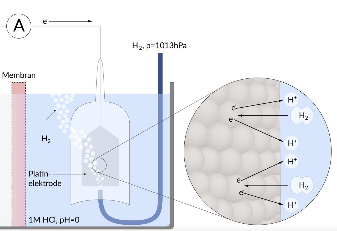 <p>C. 2 H⁺/H₂</p>