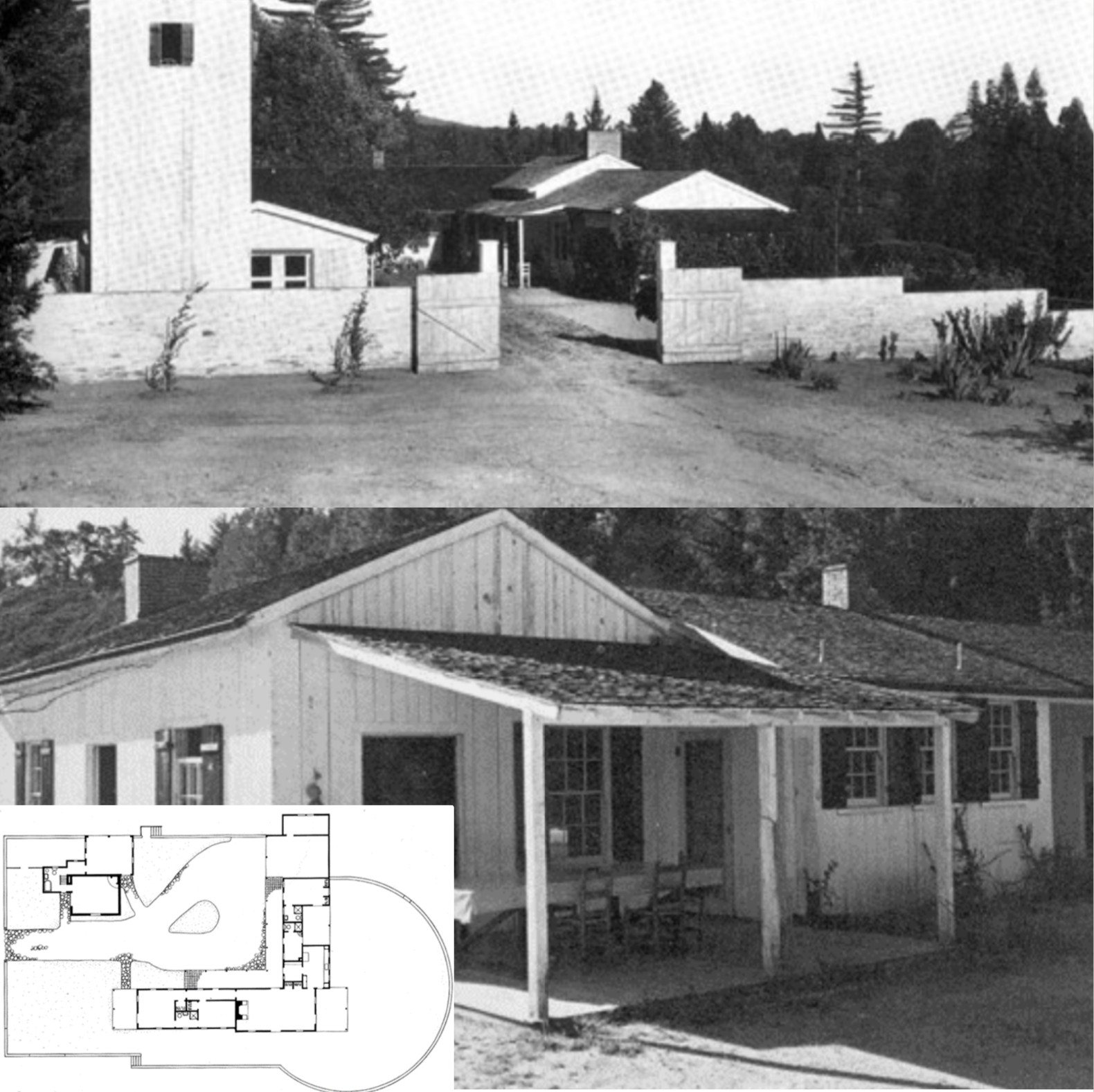 term image