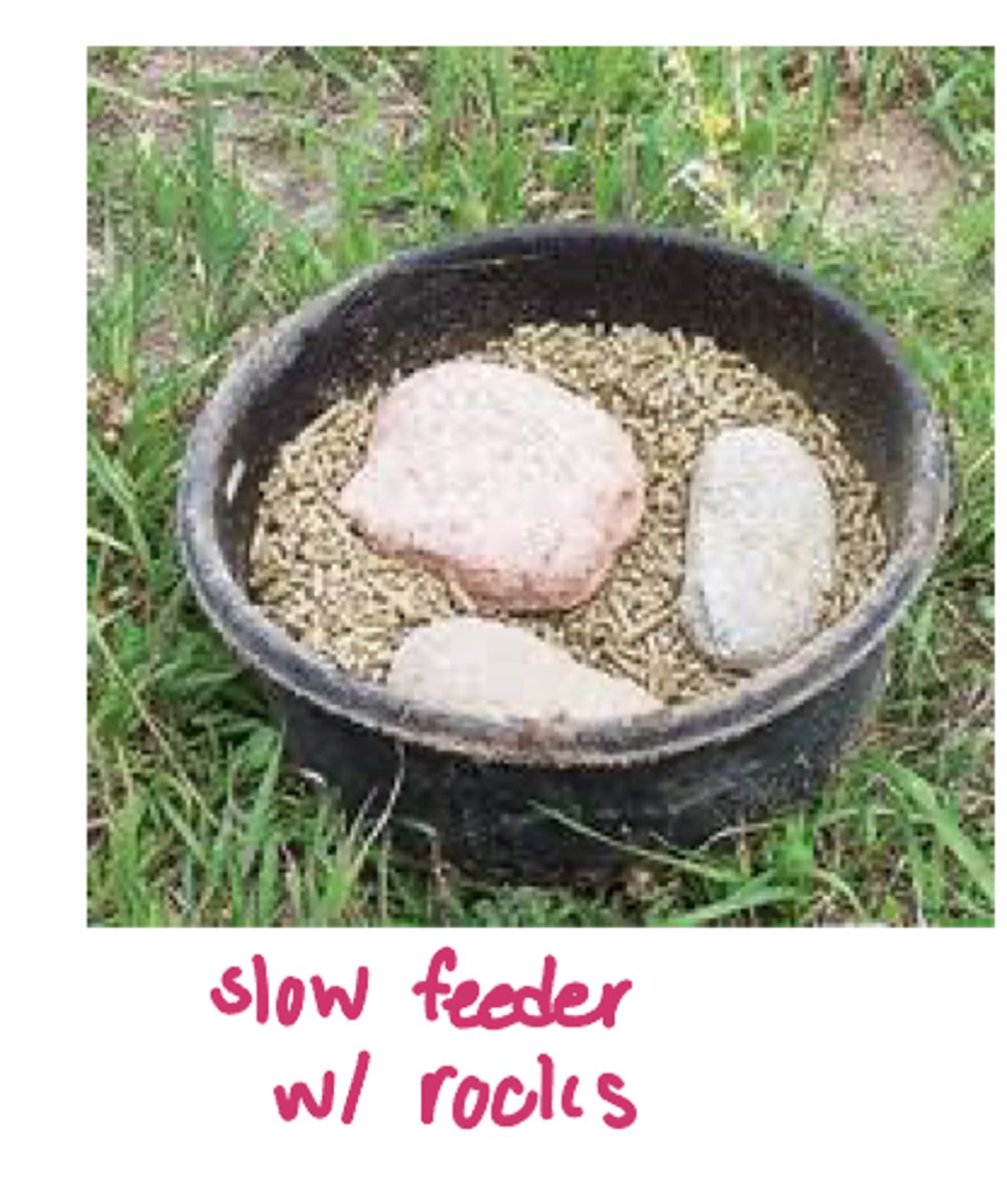 <p>how can we prevent choke/esophageal obstruction</p>