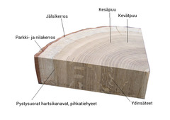 cut of wood like a slice of pie; triangle