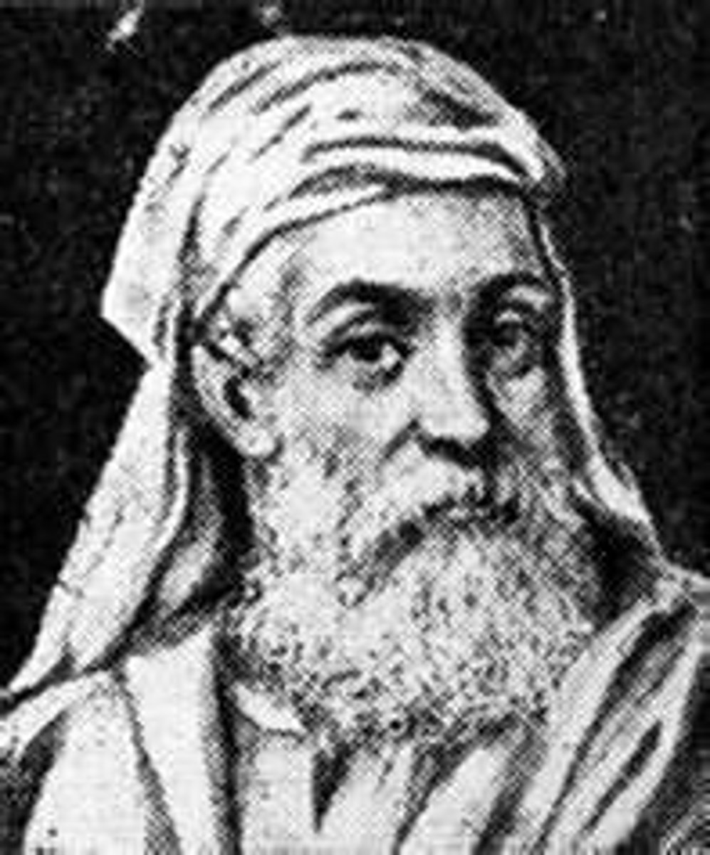 <p>believed that plants, like animals, had soul, reason, and common sense</p>