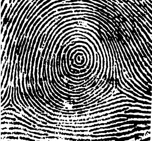 <p>type of print and characteristics</p>