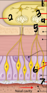 <p>Label 3</p>
