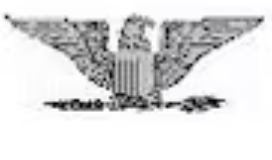 <p>Silver eagle (O6)</p>