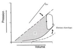 <ul><li><p class=""><strong>Déplacement de la courbe pression/volume vers la droite</strong></p></li><li><p class=""><strong>Contractilité effondrée</strong></p></li><li><p class=""><strong>Volume télédiastolique élevé</strong>&nbsp;→ cœur dilaté</p></li><li><p class=""><strong>Pression diastolique élevée</strong></p></li><li><p class=""><strong>Volume éjecté fortement diminué</strong></p></li><li><p class=""><strong>Travail interne très important comparé au travail externe</strong></p></li></ul><p></p>