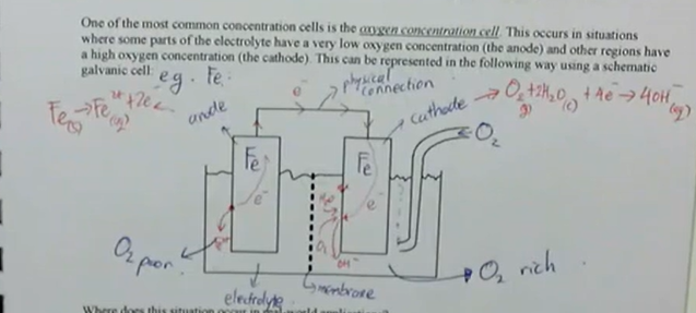 <ul><li><p>concentration cells develop due to differences in the concentration of the electrolyte, in this situation:</p><ul><li><p>the metal in contact with the most concentrated solution will be the cathode (protected)</p></li><li><p>the metal in contact with the dilute solution will be the anode (will corrode)</p></li></ul></li><li><p>one of the most common concentration cells is the oxygen concentration cell, this occurs in situations where some parts of the electrolyte have a very low oxygen concentration (the anode) and other regions have a high oxygen concentration (the cathode) — this can be represented in the follow way using a schematic galvanic cell</p></li></ul><p></p>