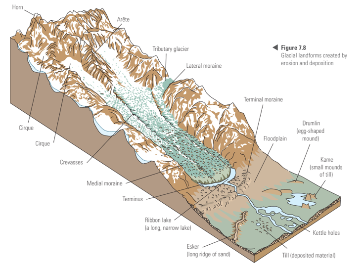 <p>Horn</p><p>Arete</p><p>Terminal moraine</p><p>maternal moraine</p><p>Cirque</p><p>Calving</p>
