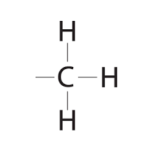 <p>A functional group consisting of a carbon bonded to three hydrogen atoms. The group may be attached to a carbon or to a different atom.</p>