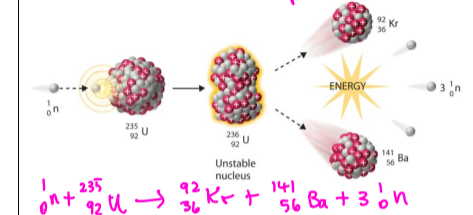 <ul><li><p>A nucleus <strong><em>splits</em></strong> into multiple nuclei</p></li><li><p>Happens in nuclear reaction/ weapon </p></li></ul>