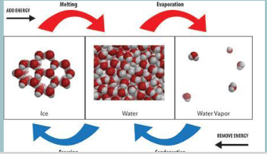 <p><span>the strength of the forces between the particles of the substance<strong> </strong></span></p>