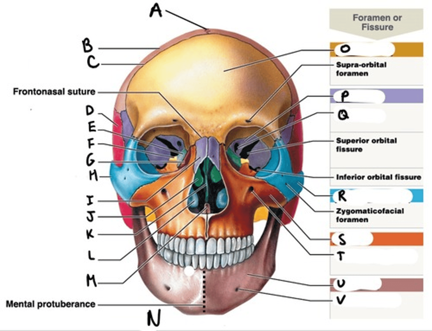<p>What is V</p>