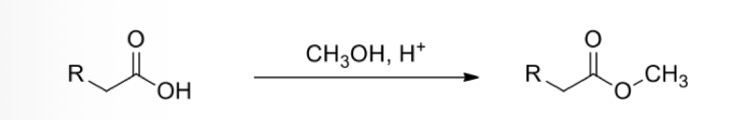 <p>Carboxylic acid —> Ester</p>