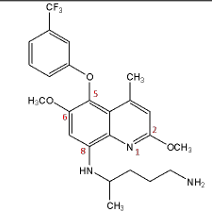 <p>prevent relapse of malaria in pt &gt;16yo who is recieving antimalial tx for acute p. vivax [hypnozoites]</p><p>create reactive oxidative species [ROS]</p><p>Perform testing for glucose-6 phosphate dehydrogenase (G6PD) deficiency prior to tx</p>