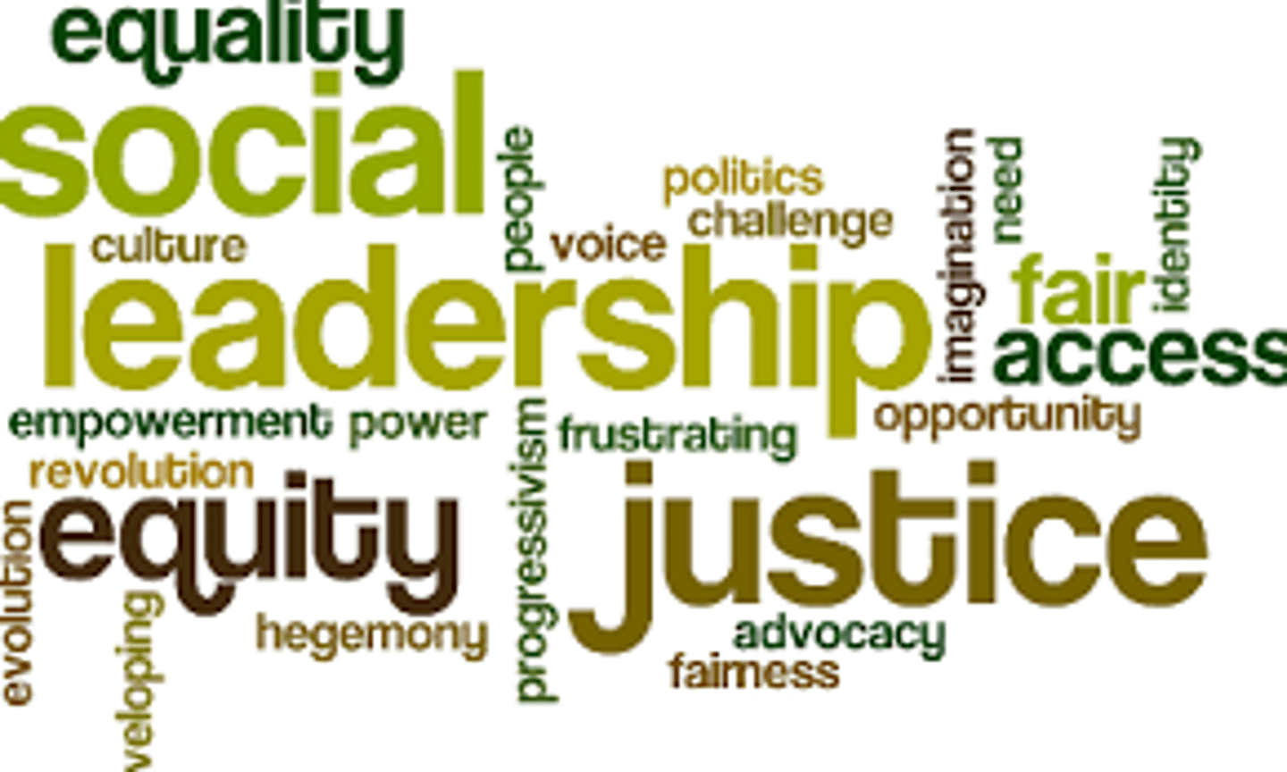 <p>equality in wealth, education, and status</p>