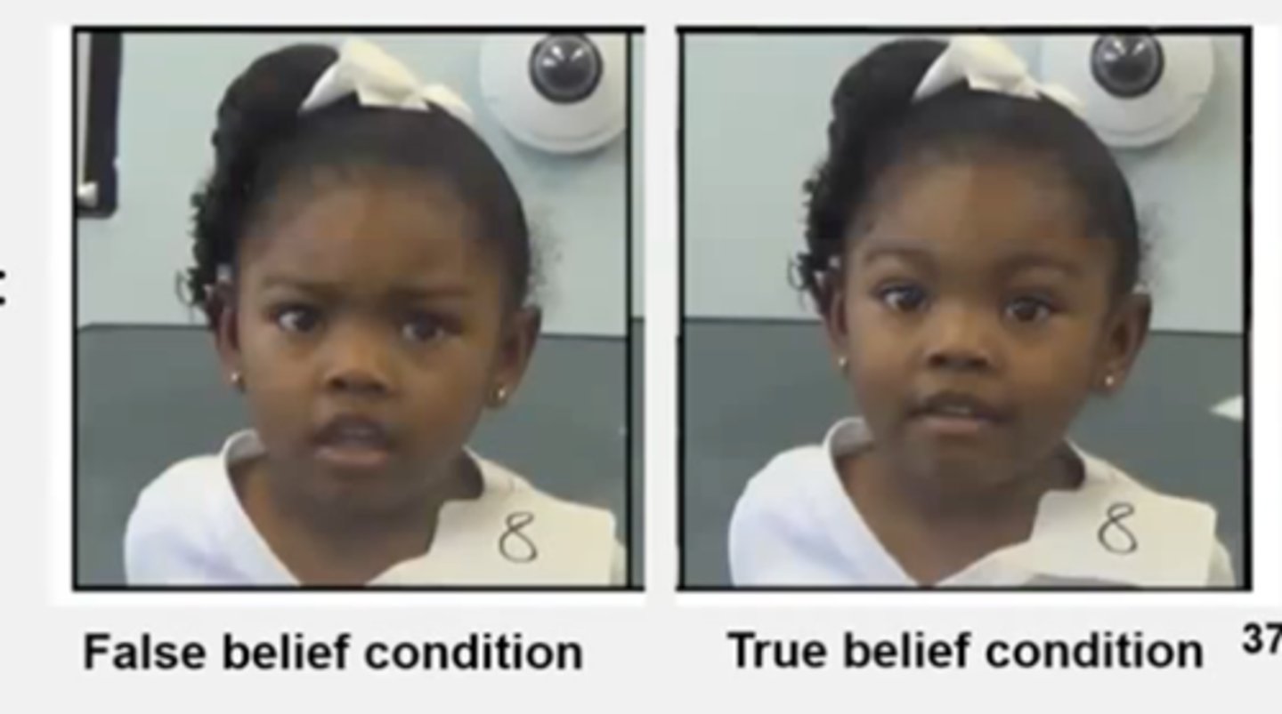 <p>investigated children's facial expressions as indices of their belief understanding </p>