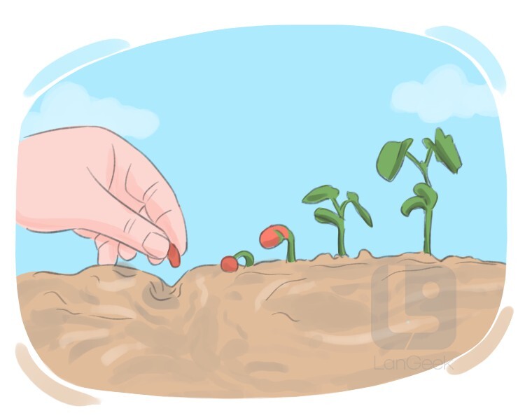 <p>sembrar semillas</p>