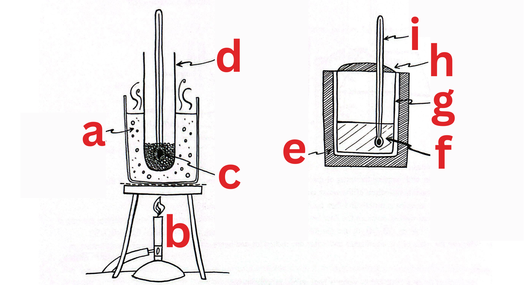 <p>Label This Diagram</p>