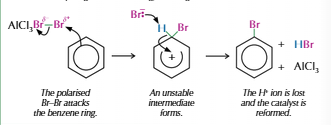<ul><li><p>Uses halogen carrier to allow electrophilic substitution</p></li><li><p>Halogen carrier polarises the halogen allowing it to react</p></li><li><p>Eg. AlCl<sub>3</sub>, FeCl<sub>3</sub></p></li></ul><p></p>