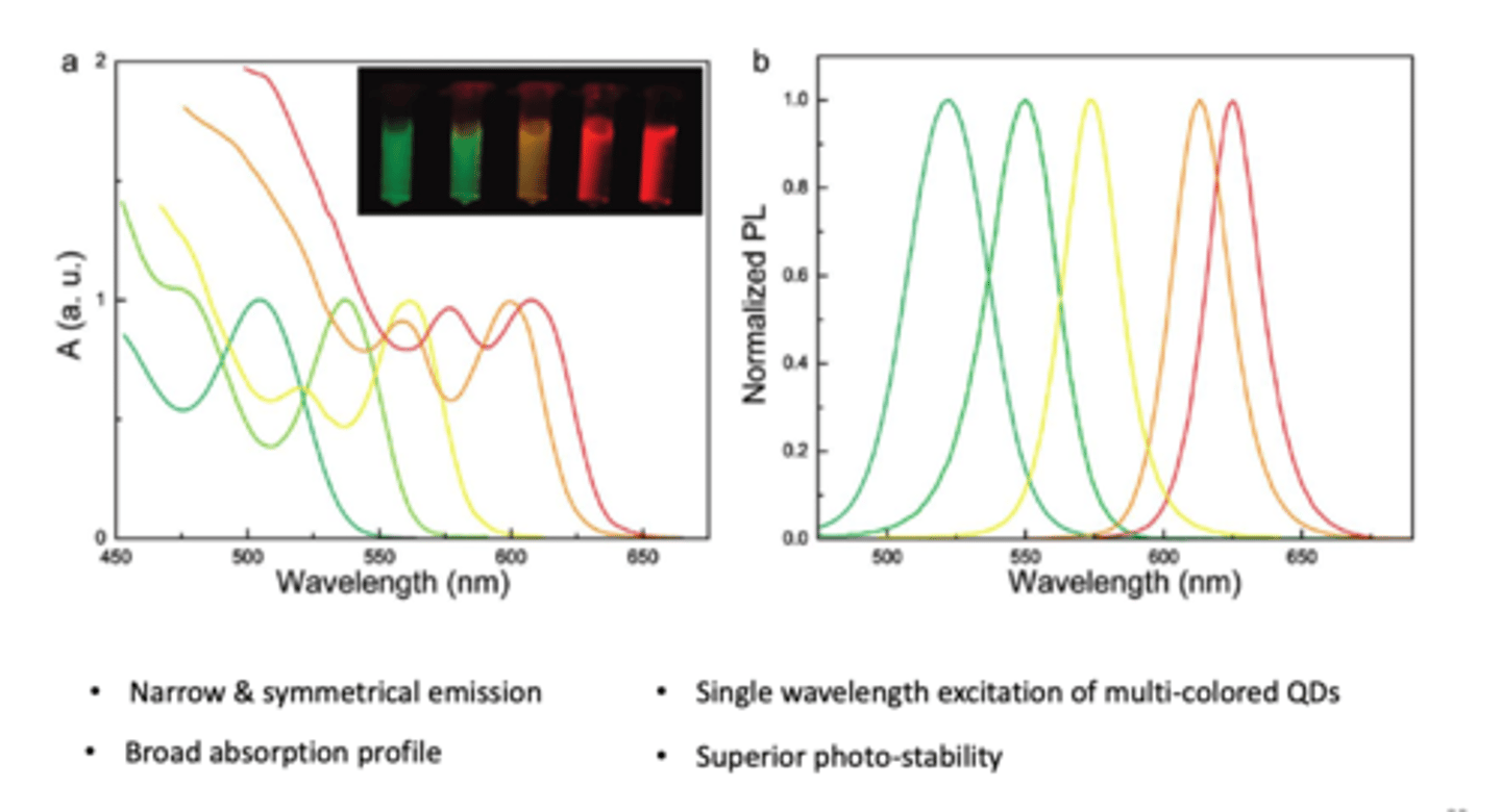 <p>- QD gives narrow and symmetrical EMISSION</p><p>- BROAD ABSORPTION profile</p><p>- single wavelength excitation of multi-coloured QDs</p><p>- superior photo-stability</p>