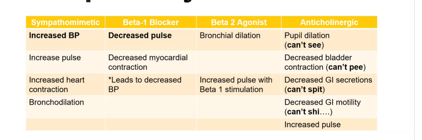 <p>Anticholinergic: also known as parasympathetic  </p>