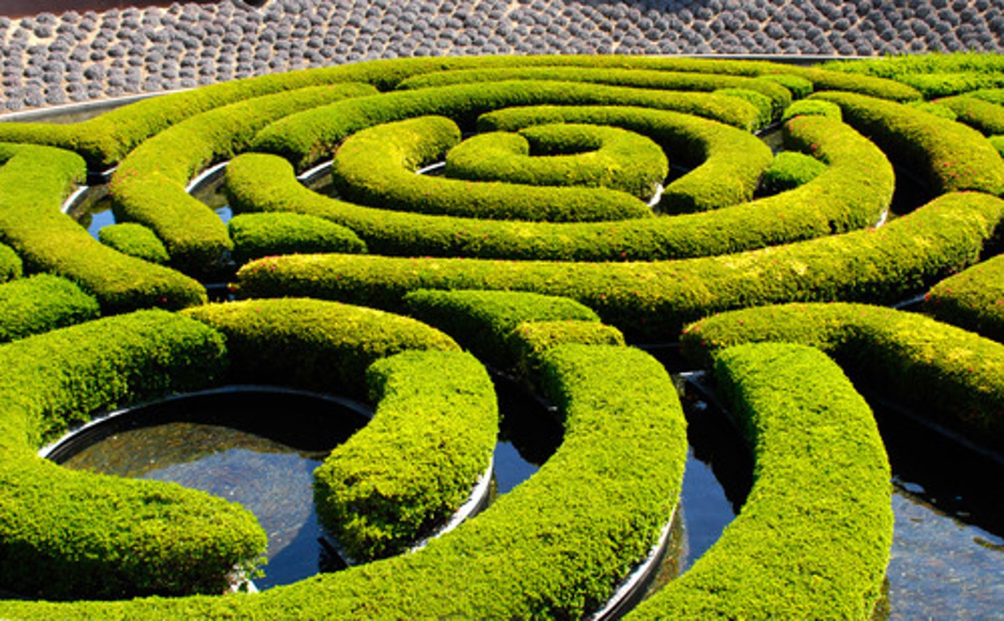 <p>лабіринт(a complicated system of paths or passages that people try to find their way through for entertainment - The old part of the town was a maze of narrow passages.)</p>