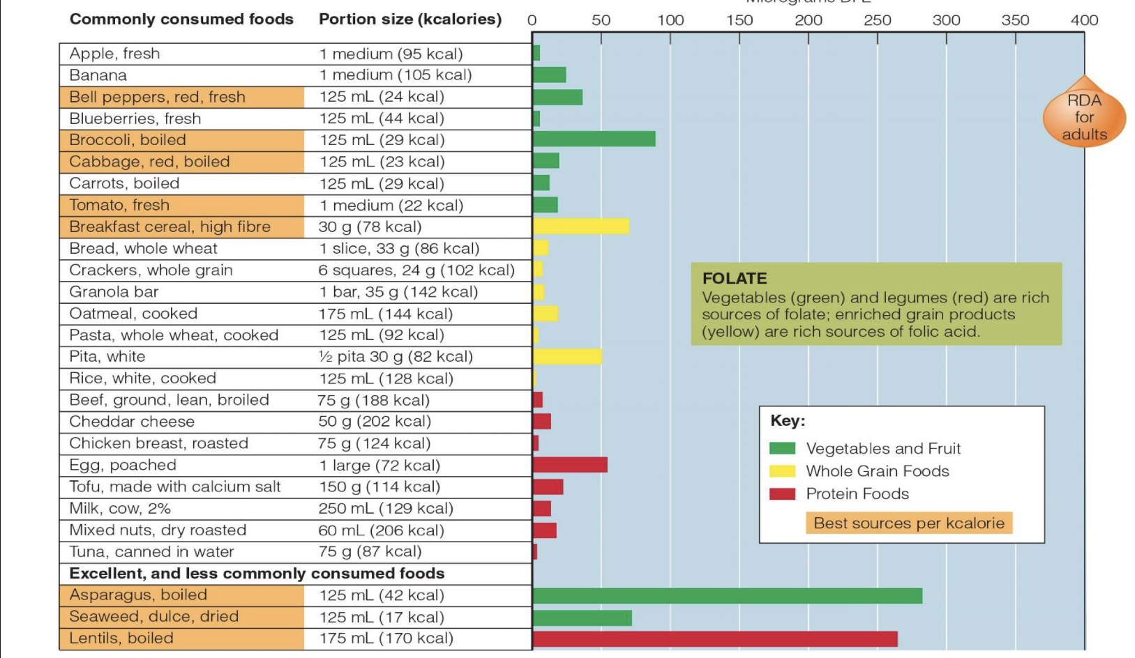 <ul><li><p>common name= folacin, folic acid</p></li><li><p>primary form = THF-tetrahydrofolate</p></li><li><p>roles:</p></li></ul><p>◦ Transfers 1-carbon compounds during</p><p>metabolism</p><p> Synthesizes DNA</p><p> Regenerates methionine from homocysteine</p><ul><li><p>works with vit. B12: Converts vitamin B12 to coenzyme form,&nbsp;</p></li><li><p>ALSO vit B12 is used to make folate</p></li></ul><ul><li><p>Liver converts excess folate to bile, it can be reabsorbed repeatedly (into bloodstream etc)</p></li><li><p>bioavailability differs based on source (supplement vs food)</p><p>WHITE flour must be fortified with synthetic folate mono glutamate (since 1998, has reduced neural tube deficiency)</p></li></ul><p></p>