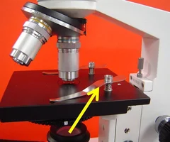 <p>what apart of the microscope is this</p>