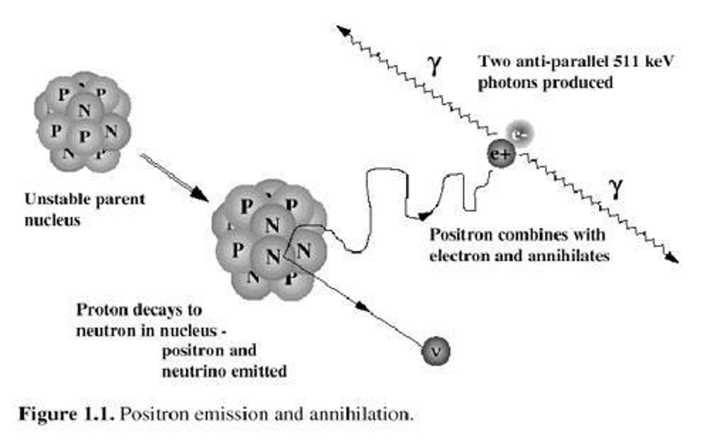 <p>It is a radioactive sugar that emits gamma radiation, which is detected to form images.</p>