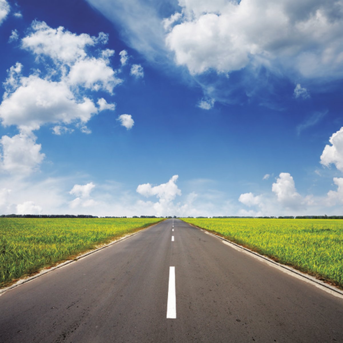 <p>road</p>